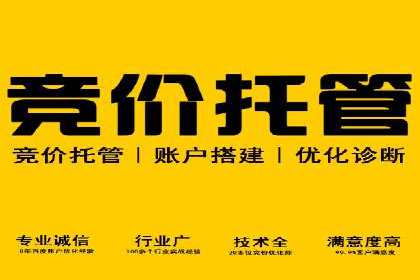 企业在选择sem代运营公司的决策过程与效果